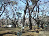 春だねぇ～＾＾ 画像2
