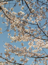 五十三次は終わったけれど 画像2