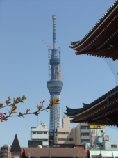 五十三次は終わったけれど 画像3