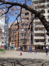 ＊桜まつり2011＊　桜からのエール。 画像3