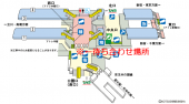 4/10　東北関東大震災激励花見・・。 画像1