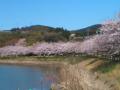 出張・・