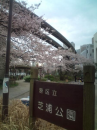 花金