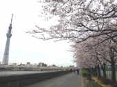春の嵐の中で... 画像2