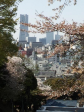 テンションが上がるまで 画像3