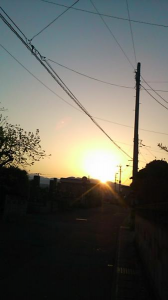 食べ過ぎ・・・ 画像1