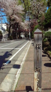 ヘイポーの1日 画像1