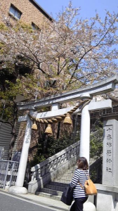 ＊桜まつり2011＊　仕舞いの桜。 画像3