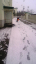 雪！！！！！！