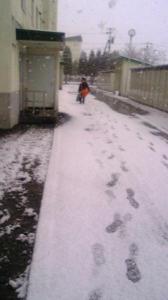 雪！！！！！！ 画像1