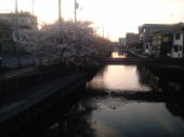 今日は川へ 画像2