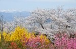 心のイケメン　・・・♪ 画像2