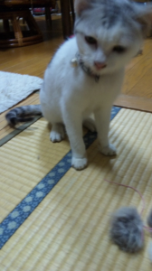 想い．．．　（＾＾；） 画像3
