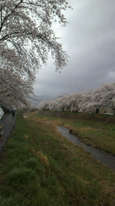 ☆砂の城…？( ￣▽￣;) 画像2