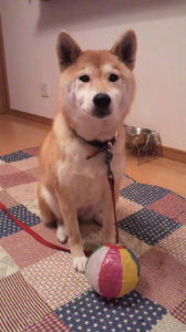 ☆ちょびっと・・・ 画像1