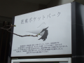 視力検査