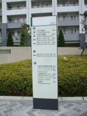 視力検査 画像2
