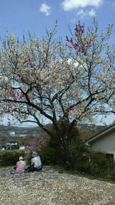 ☆理想の夫婦像って？ 画像1