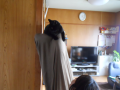 明日、家庭訪問。