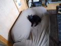 明日、家庭訪問。