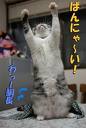 「トップ当選！」 画像3