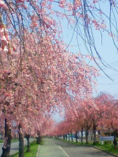 こっ、これは！　・・・♪ 画像2