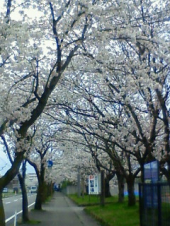 実は　　・・・♪ 画像2