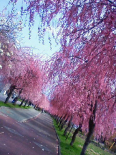 実は　　・・・♪ 画像3