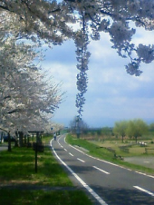 普通 ・・・♪ 画像2