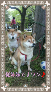 ☆あっち向いて～ヽ(^o^)丿 画像3