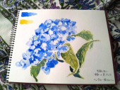2色 画像1