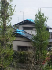 「ブルーシート！」 画像1