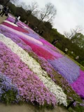 昭和記念公園♪ 画像1