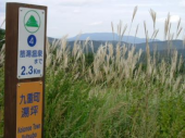 「湯坪温泉」付近を走る 画像2