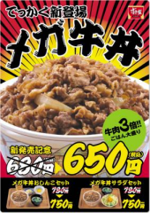 メガ牛丼～メガマック 画像1