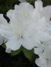 復興支援最終日 画像1