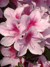 復興支援最終日 画像2