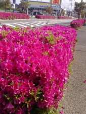 復興支援最終日 画像3