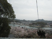 no title 画像1