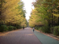 久し振りに公園で走った