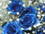 Yahrzeit / 　　　　　　　　　　　　　・・・命日 画像1