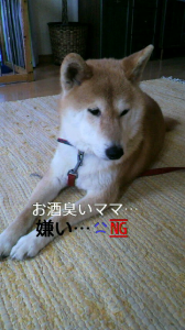 ☆今日は歯医者さんへ～！ 画像1