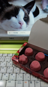 (ｏ￣∀￣)ノ”ぁぃ 画像2