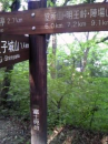 新緑のお山へ♪