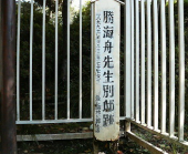 和梨 画像1