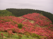 葛城山 画像2