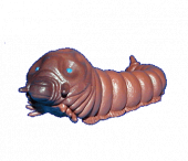 ｶﾚｰ南蛮そば・どん兵衛with大福／モスラ対ゴジラ 画像2