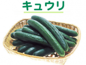給食 画像2