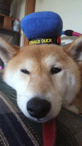 ☆妄想族暴走中! 画像2