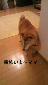 ☆またまたげちゅようびっ! 画像2